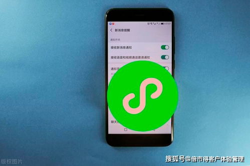 微信 拍了拍 又火了 從互聯(lián)網(wǎng)三大 頭牌 的成功談?wù)勼w驗管理